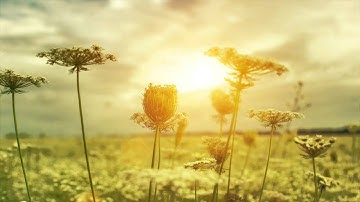 A Course in Miracles Chapter 1 Audio