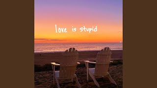 love is stupid