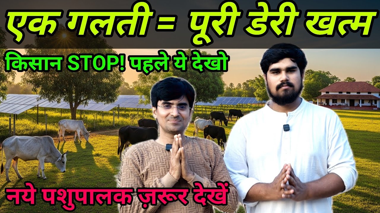 👉चेतावनी! डेयरी शुरू करने से पहले ये सच जान लो ⚠️(@SandeepDixitDairyFarm) 