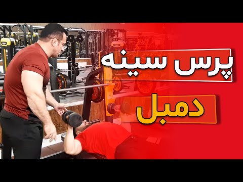 آموزش پرس سینه دمبل