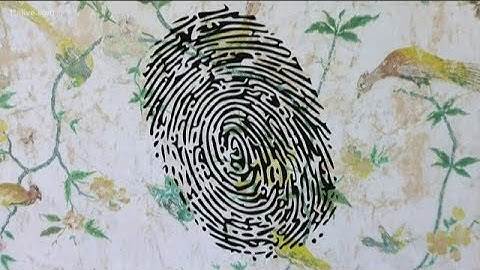 What makes our fingerprints so unique?