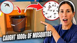 This Mosquito Trap Catches 1000s of Mosquitoes