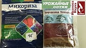 Применение хлореллы в саду и огороде - YouTube