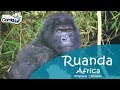 RUANDA - ÁFRICA | PROGRAMA VIAJE COMIGO