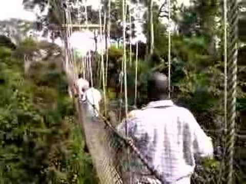 Kakum Forest rope bridges, Ghana