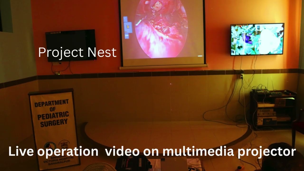 Our Professional and  Technical Work.  Project Nest