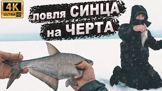 Нашёл ОГРОМНУЮ СТАЮ рыбы! Ловля синца на Рыбинском водохранилище