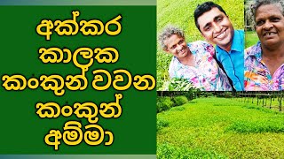 Kankun cultivation in Sri Lanka Interview with successful commercial Kankun cultivator