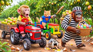 Monkey Farmer Drives Tractor to Harvest Guavas with Tiny JCB Cat & Catches a CRAZY Egg Thief!