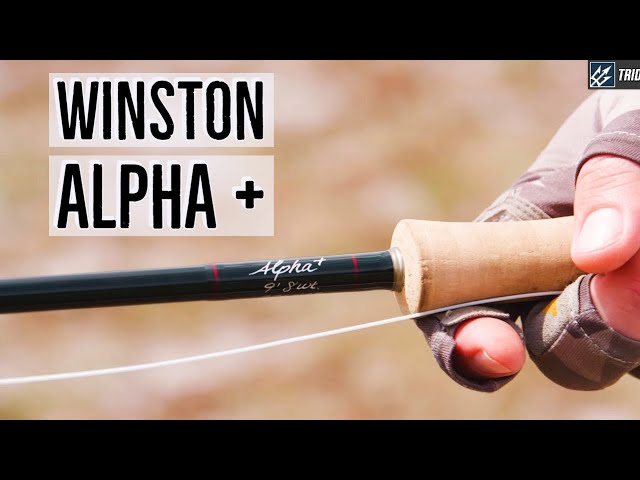 Winston Alpha Plus Fly Rod Review 