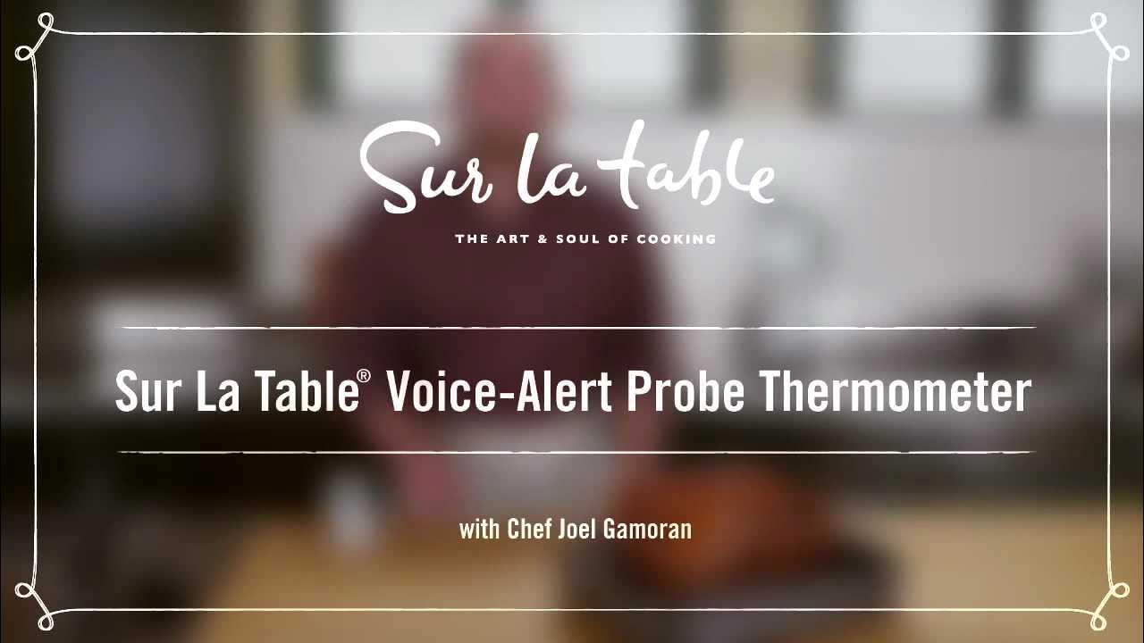 Sur La Table Leave-In Probe Thermometer