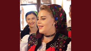 Zî Ceterașule Bine