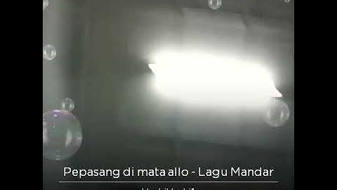Pepasang di mata Allo..Badri vs undri