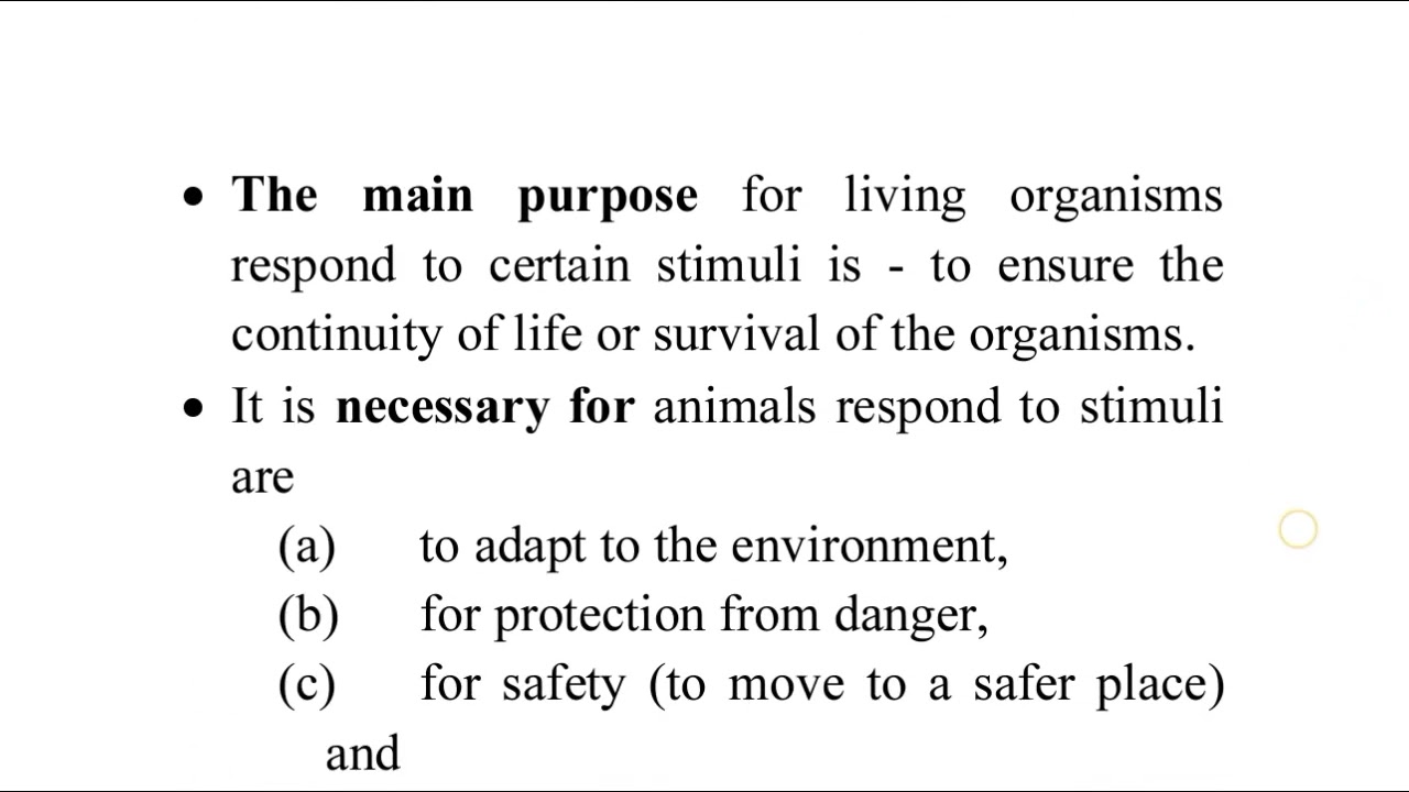 Grade 12 Biology, Chapter 5, 5.3 Coordination and Response in Animals, 5.3.1 Human Nervous System