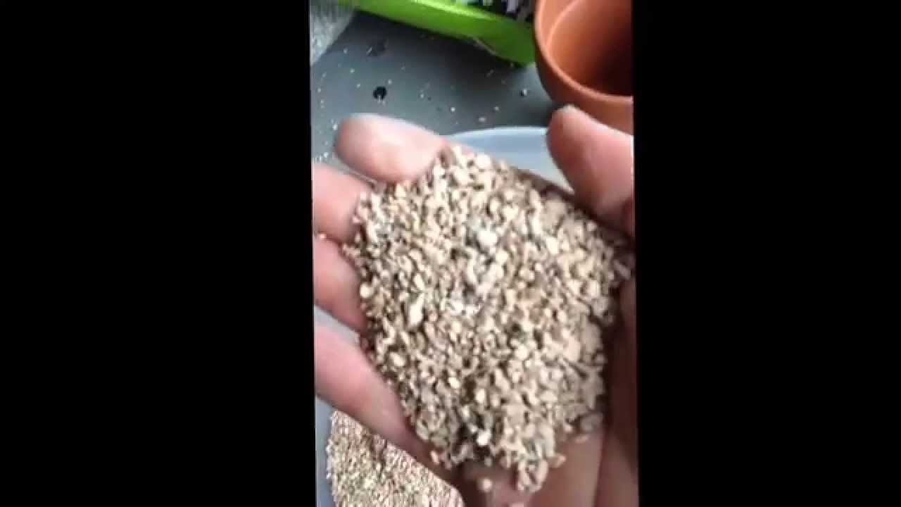 Napa 8822 Floor Dry For Cactus Potting Mix Youtube