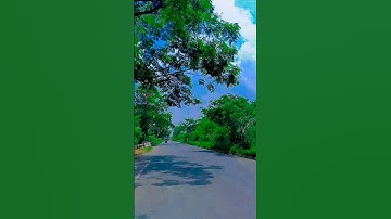 Nazar Ke Samne Jjigar Ke Paas #shorts #bollywoodsongs #love #trending #viral