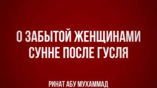 431. О забытой женщинами Сунне после гусля 431. О забытой женщинами Сунне после гусля