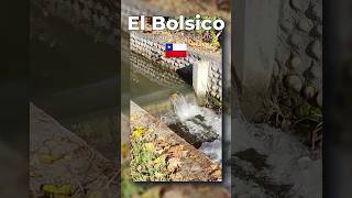 El Bolsico, Región del Maule #shorts