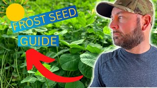 How To Frost Seed Clover: The Ultimate Guide