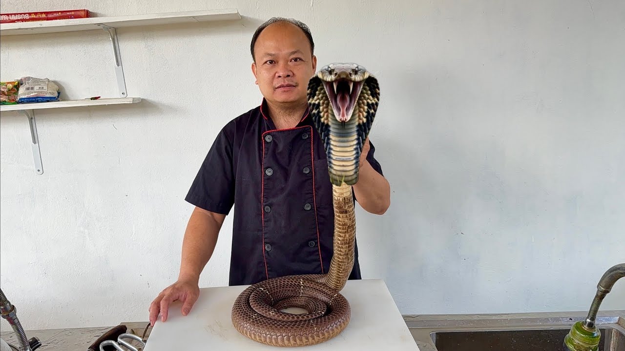 Rắn hổ mang bành hầm thuốc bắc // Sơn Hào 