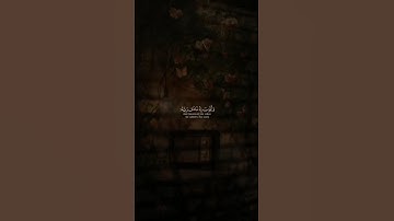 القرآن الكريم | سورة الأنبياء | آية 83 🤍#القرآن_الكريم #قرآن #quran #سورة_الأنبياء