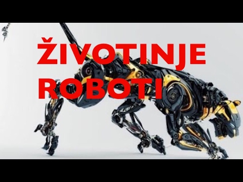 Video: Nevjerovatne životinje Roboti Osvajaju Svijet