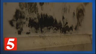 Bellevue renter seeks assistance for growing mold problem