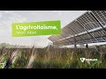 Lagrivoltaisme combine nergie solaire et agriculture pour rduire le stress hydrique