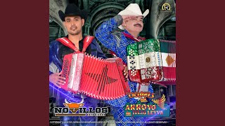 El Gato y Sus Felinos