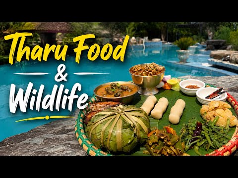 Special Tharu Thali & Jungle Safari Experience in Meghauli