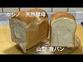 ホシノ天然酵母で山型食パン　さっくり・もっちり　Natural yeast shokupan