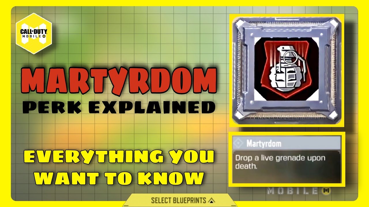 MARTYRDOM perk explained | codm | COD mobile | Call of Duty | season 6 ...