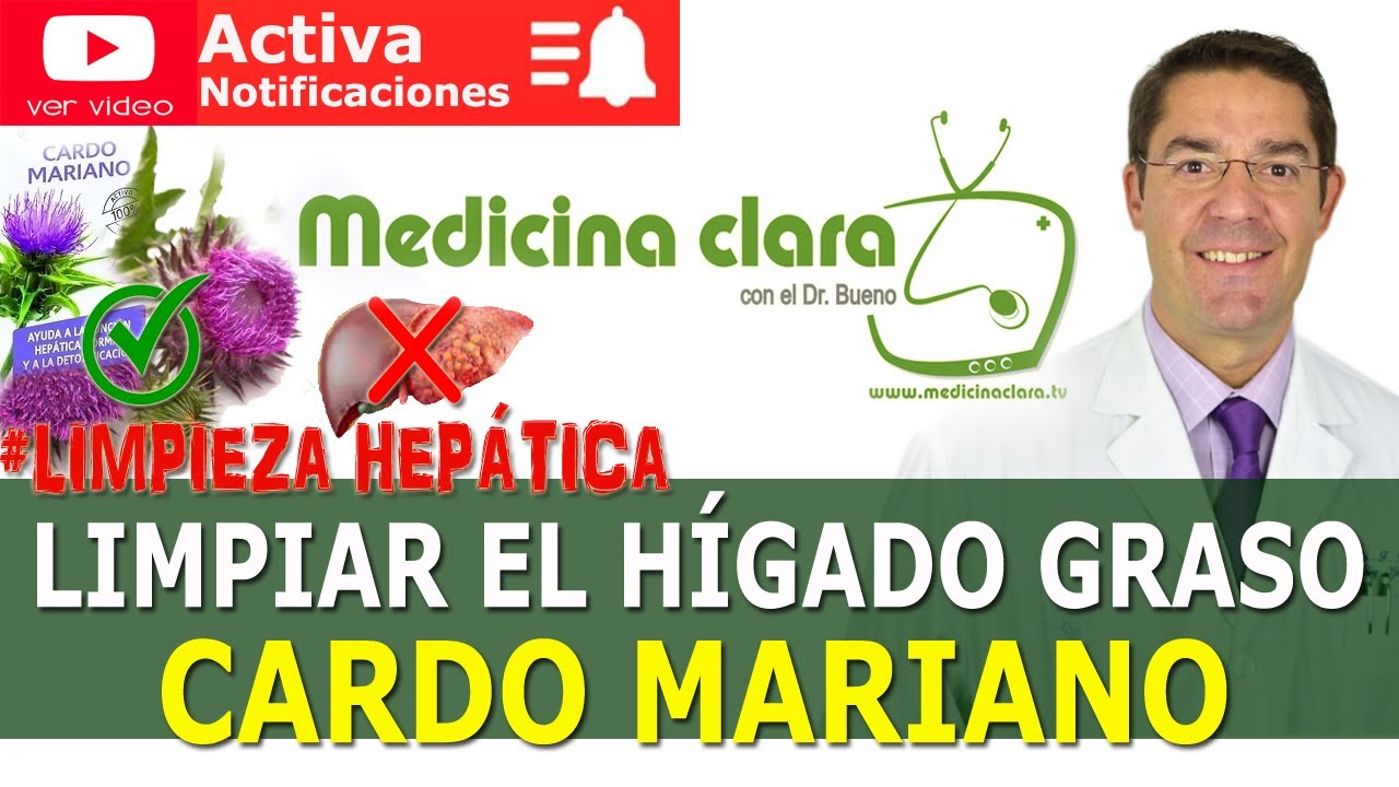 Tratamiento Higado Graso Natural Tisana Te Cardo Mariano 150