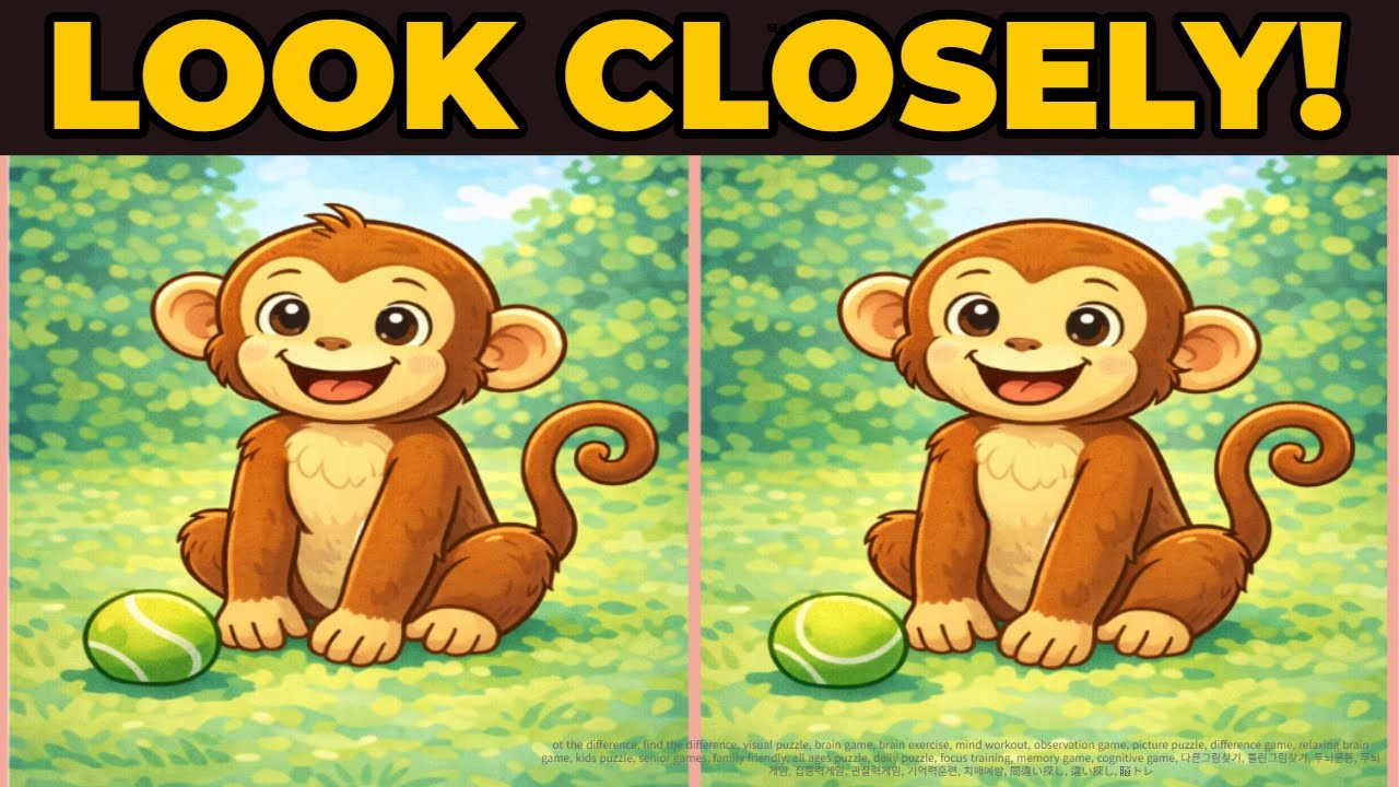 【Spot the Difference | 間違い探し】Can You Find All 3? 👀