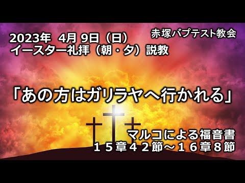 2023年4月9日(日)（朝・夕)　赤塚教会イースター礼拝説教「あの方はガリラヤへ行かれる」マルコによる福音書15章42節～16章8節