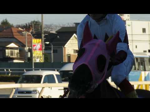 【ヒカリオーソ＆瀧川寿希也騎手】本馬場入場と返し馬　第62回ニューイヤーカップ（SⅢ）　☆優勝☆