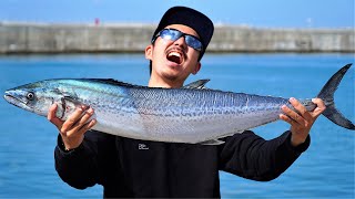 자이언트 대삼치를 잡아서 먹어보자! [Catch and cook King mackerel]