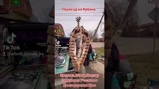 Переезд в Краснодар