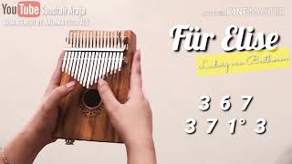 Video thumbnail of "FÜR ELISE - Ludwig van Beethoven | KALIMBA COVER WITH NUMBERED NOTATION TABS"