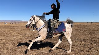 Selimli gençlerin cirit tutkusu