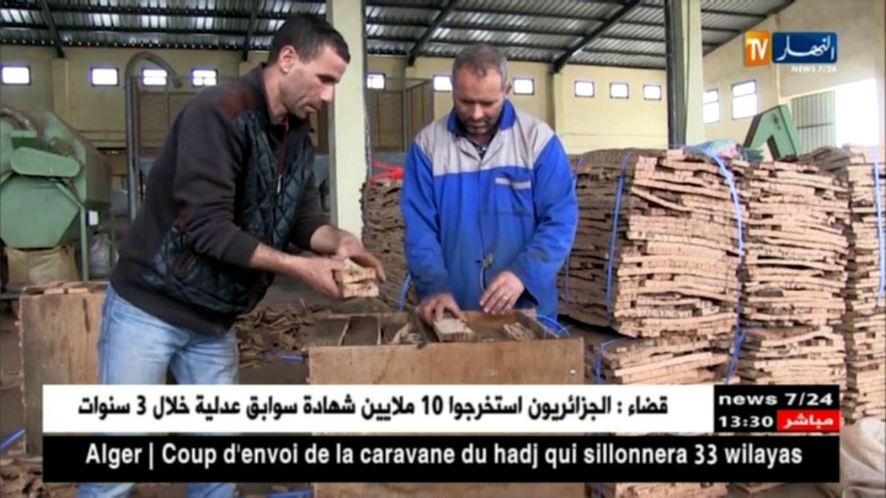 سكيكدة/ كولوكورك..مؤسسة مختصة في الفلين مثال لنجاح الإستثمار المحلي