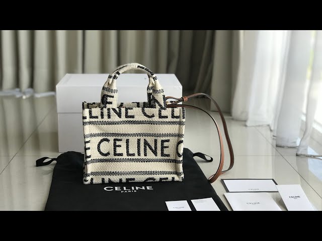 Celine Cabas Tote Review - Sizing, Wear & Tear - whatveewore