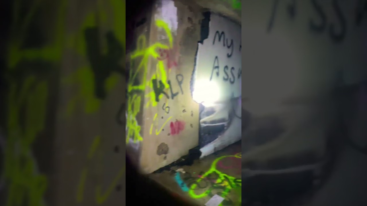 I Found An Abandoned Observatory in the Woods!