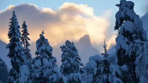 Susan Osborn - Antonio Vivaldi - Winter Largo