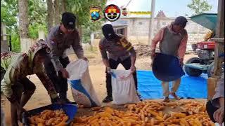 Polsek Bancar Polres Tuban dukung ketahanan pangan nasional