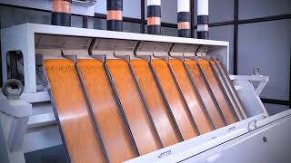 ETG AGRO PROCESSING PULSES and BESAN 20 Secs ENGLISH