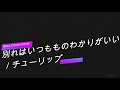 別れはいつもものわかりがいい / チューリップ(Bass Cover)