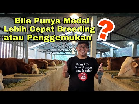 Video: Adakah pita atau sambungan pakan lebih baik?