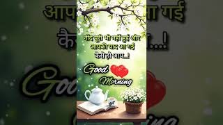 ​Pyari Si Subah, Aapke Naam | Good Morning Status 🌸