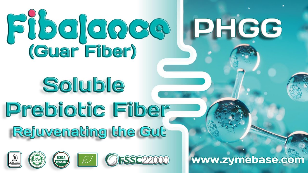 Fibalance™ PHGG All Natural Soluble Prebiotic Fiber for Gut Health